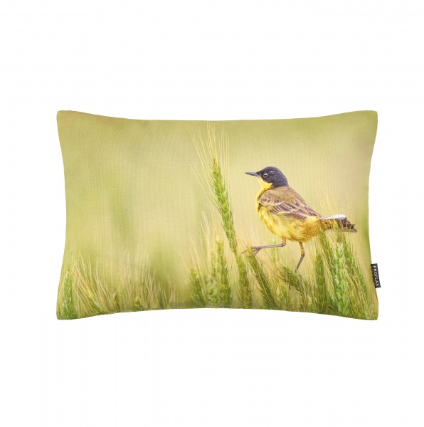 Kissenhülle Piri - Vogel, Fotodigitaldruck auf 100% Baumwolle, 30 cm x 50 cm, grün