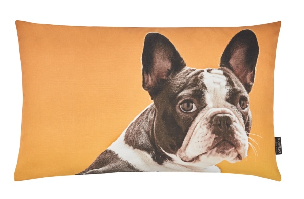 Kissenhülle Capo, Fotodigitaldruck Bulldogge auf 100% Baumwolle, Größe30x50 cm, Farbe Safran