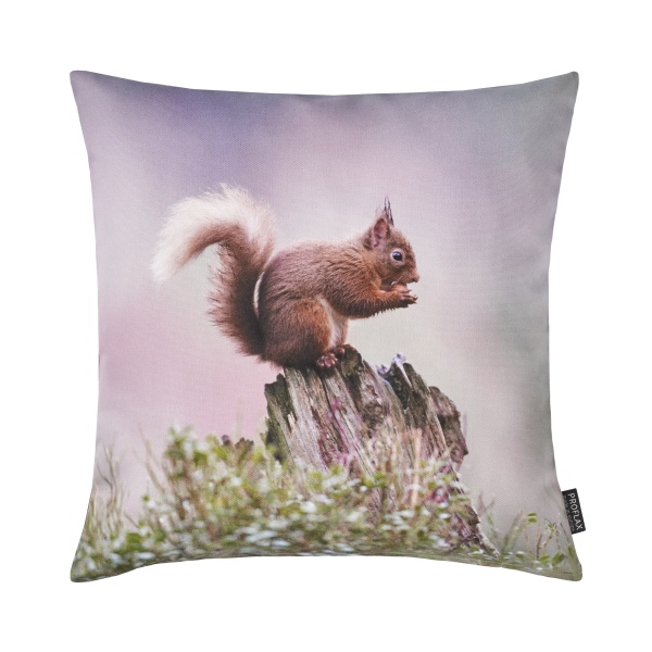 Kissenbezug Hanka, Fotodigitaldruck Eichhörnchen, Größe 40x40, Farbe Violett / Grün