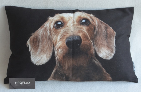 Kissenhülle Seppi, Digitalfotodruck Hund, Größe 30x50 cm